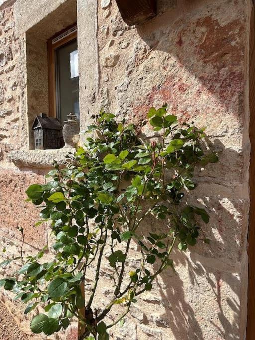 Willa Le Tinailler Grand Standing Au Coeur Des Vignes Prissé Zewnętrze zdjęcie