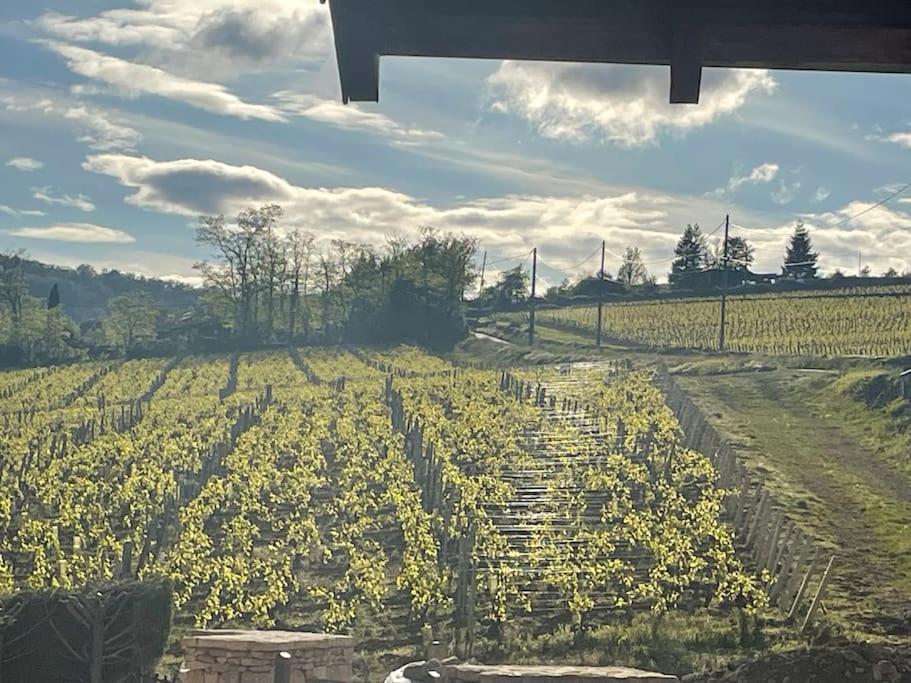 Willa Le Tinailler Grand Standing Au Coeur Des Vignes Prissé Zewnętrze zdjęcie
